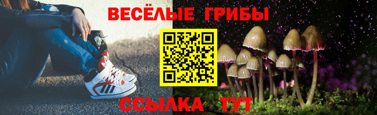 Галлюциногенные грибы прущие грибы  Галлюциногенные грибы Cubensis  Вход с VPN  Коломна 